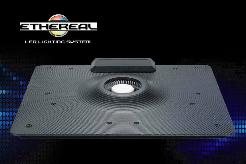 MAXSPECT E5-130 ETHEREAL LIGHT