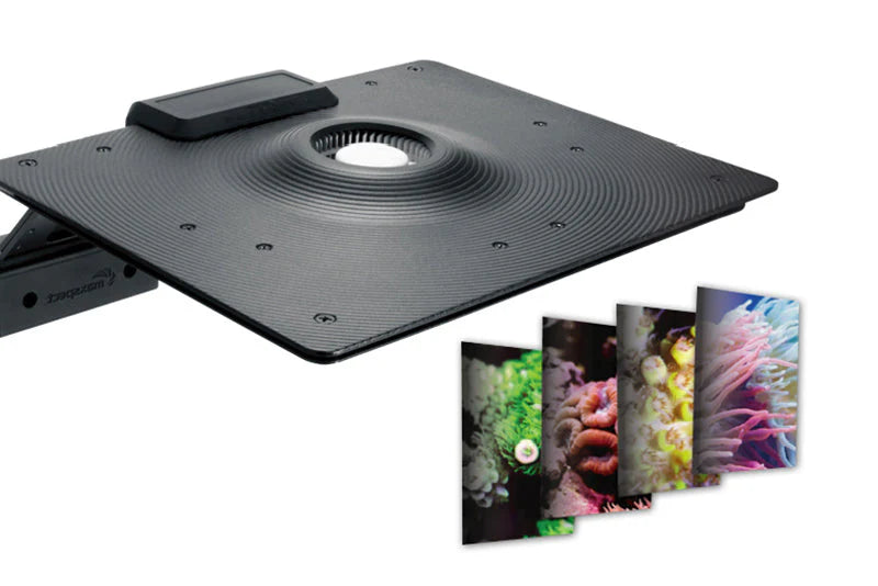 MAXSPECT E5-130 ETHEREAL LIGHT