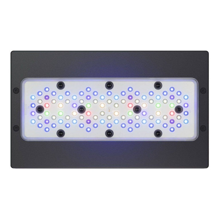 Ecotech Marine Radion XR30 G6 PRO Reef LED Light Fixture – Chennai