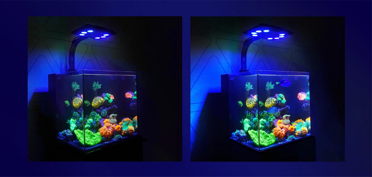 MAXSPECT MJ-L260 LED LIGHT (NEW MODEL)