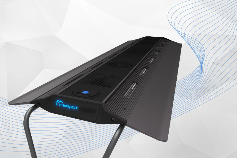 Maxspect RSX R5-300/R5F-300 light