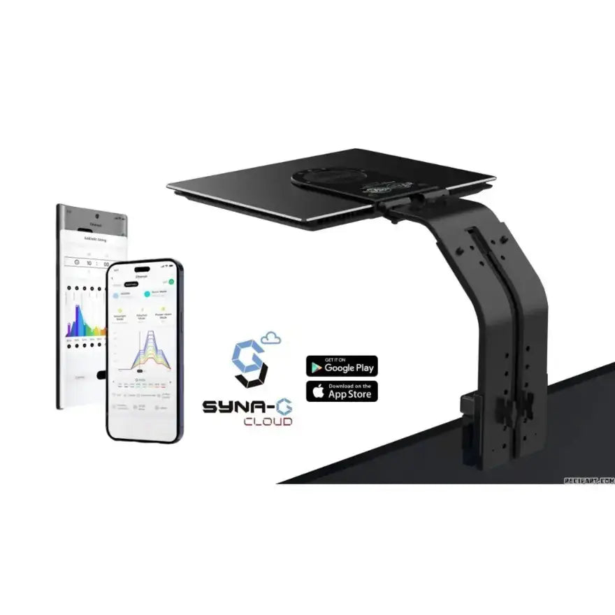 MAXSPECT E8-230 NEW ETHEREAL LIGHT