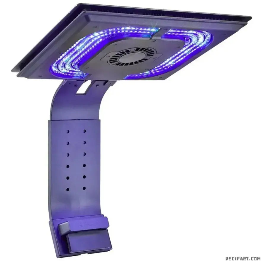 MAXSPECT E8-230 NEW ETHEREAL LIGHT