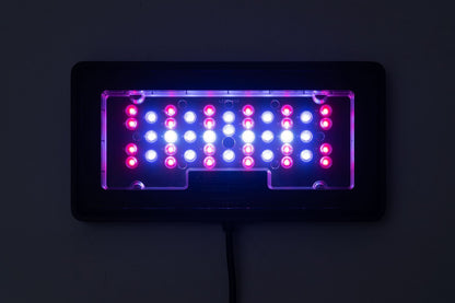 MAXSPECT MJ L230R LIGHT