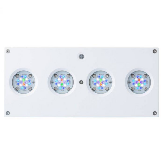 AI Hydra 64 HD LED Reef Light - White