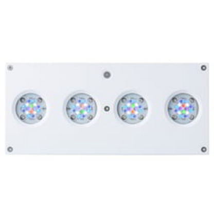 AI Hydra 64 HD LED Reef Light - White