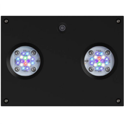 AI Hydra 32 HD LED Reef Light - Black