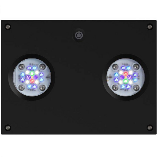 AI Hydra 32 HD LED Reef Light - Black