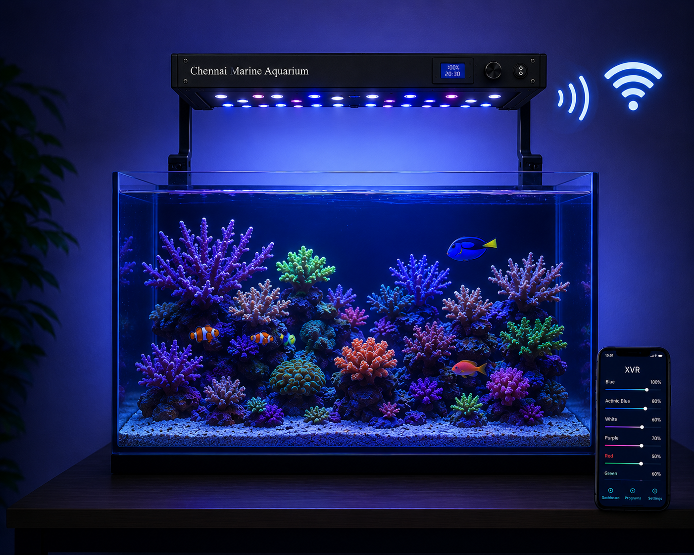 XVR - 100 Reef Spectrum Light System- WiFi Model