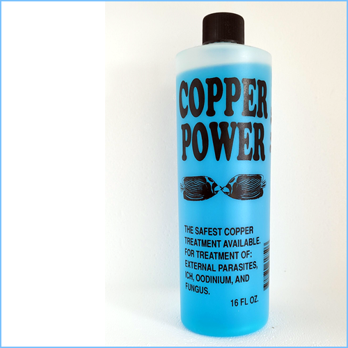 (Imported) Copper Power - Best Medicine for ICH and Marine velvet (453 ml)