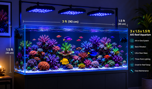 3x1.5x1.5 AIO Maintenance Tank Full Setup