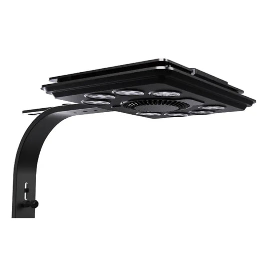 MAXSPECT MJ-L260 LED LIGHT (NEW MODEL)