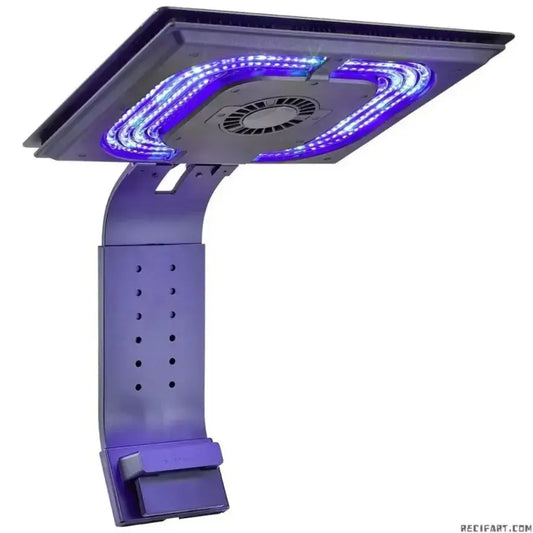 MAXSPECT E8-230 NEW ETHEREAL LIGHT
